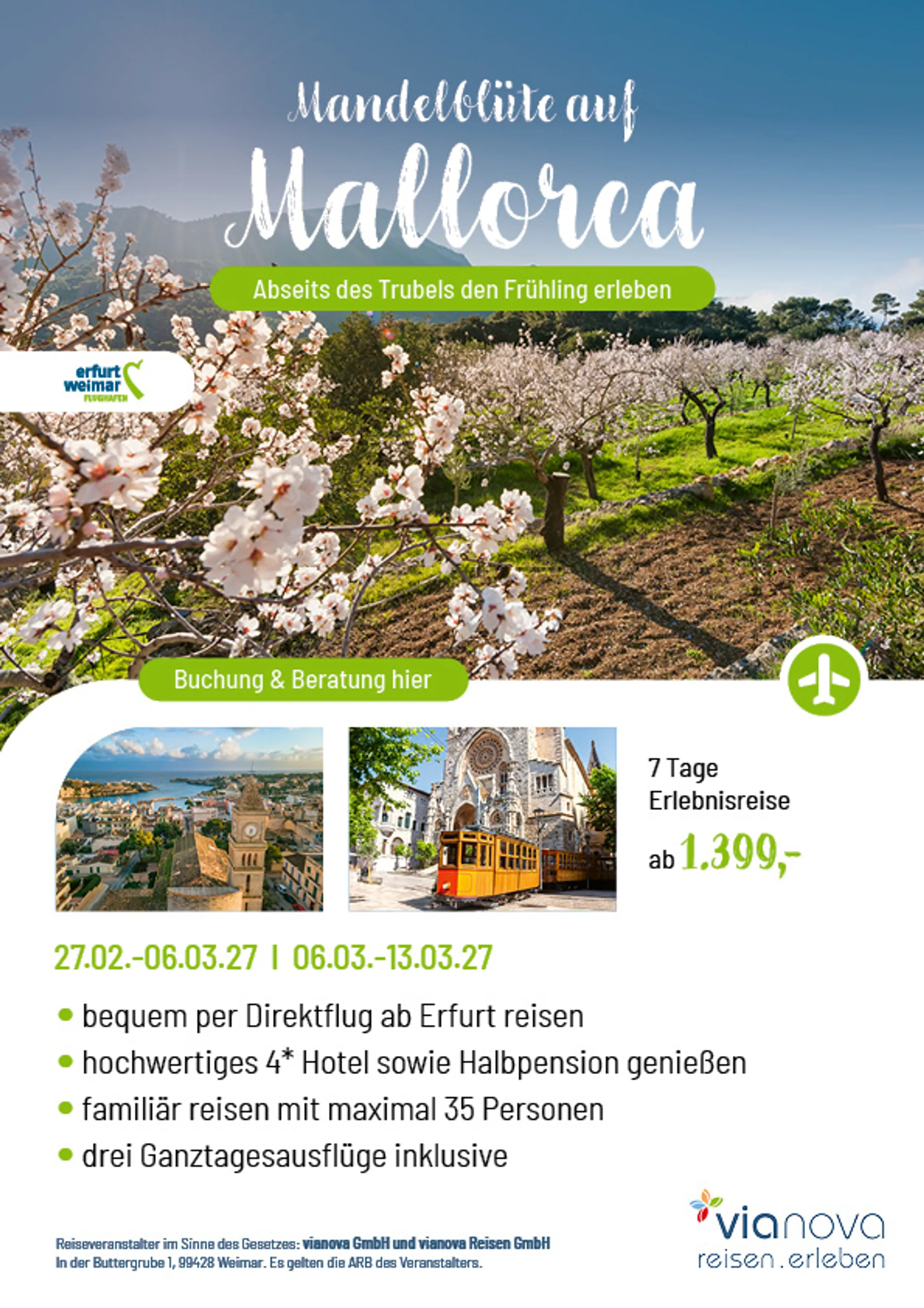 Frühling Mallorca Mandelblüte