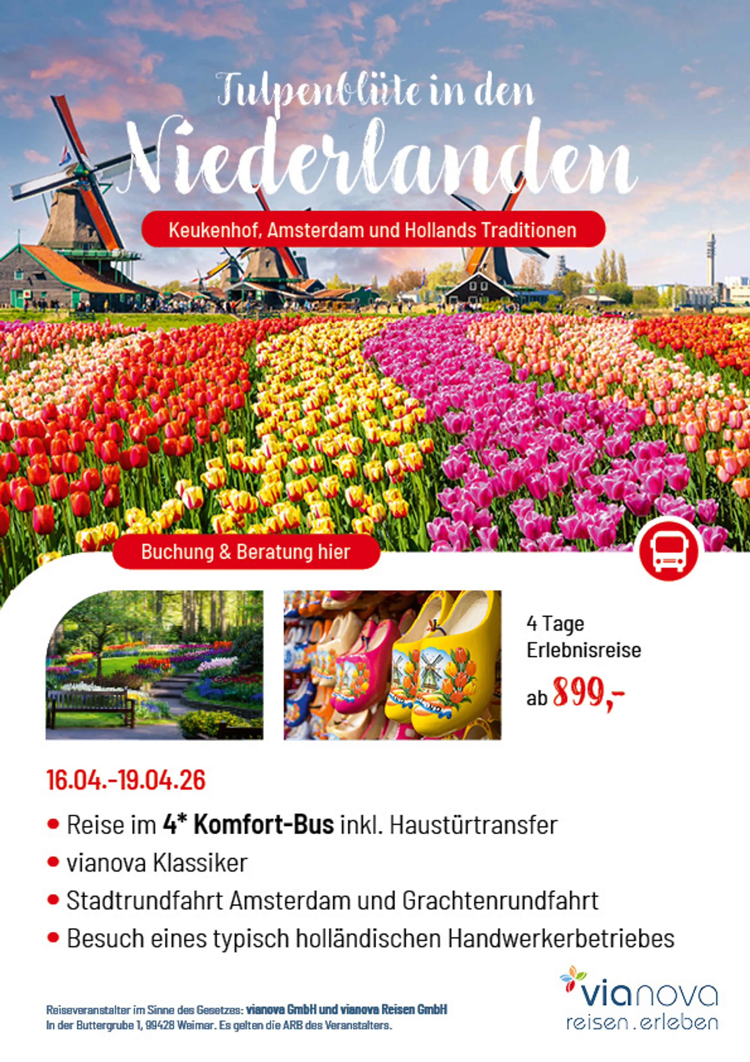 Tulpenblüten Niederlande Flyer Windmühlen, Tulpenblüte und Frühling in Holland Flyer Reise