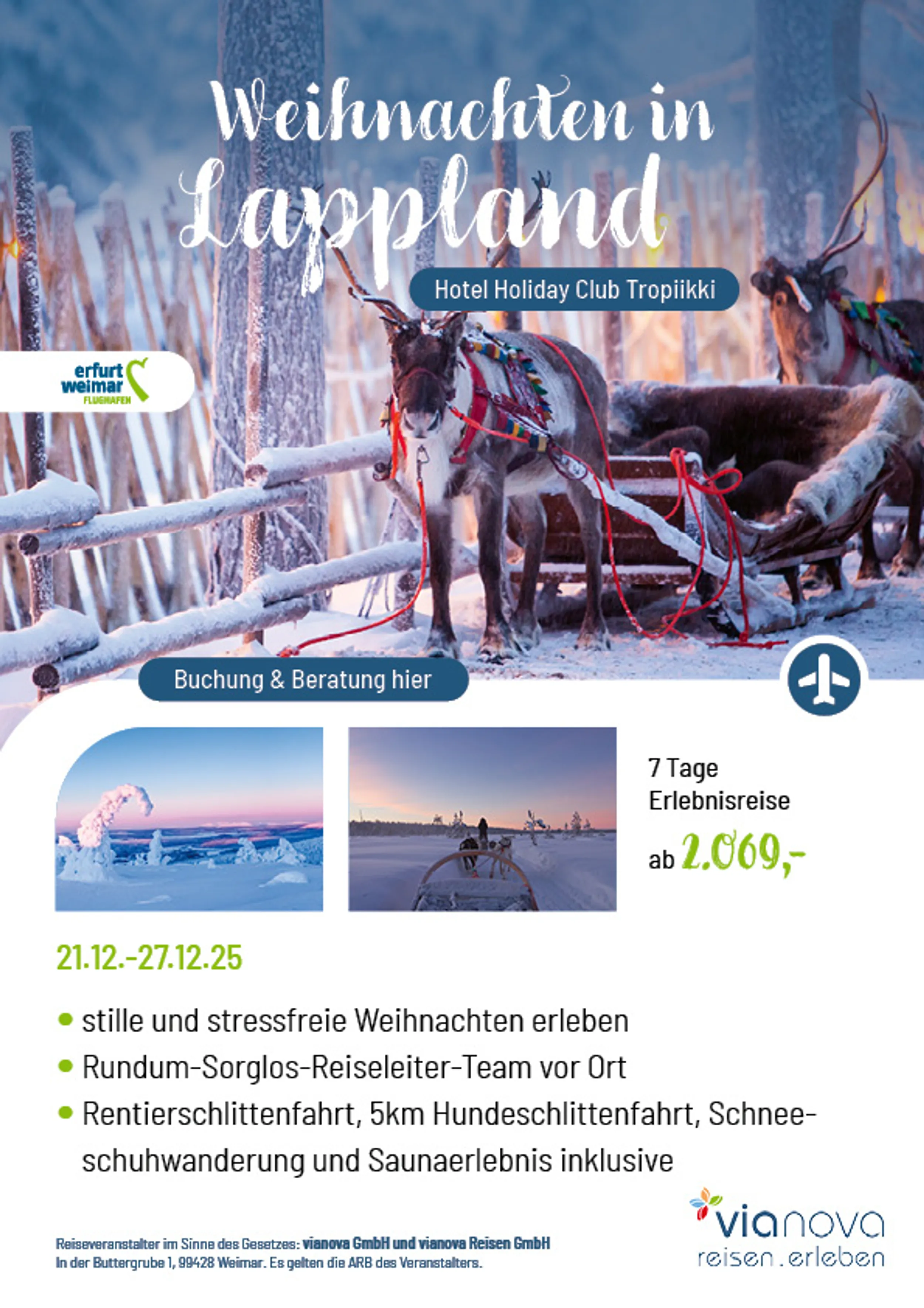 Rentier Winter Weihnachten Kuusamo Lappland Schnee Idylle