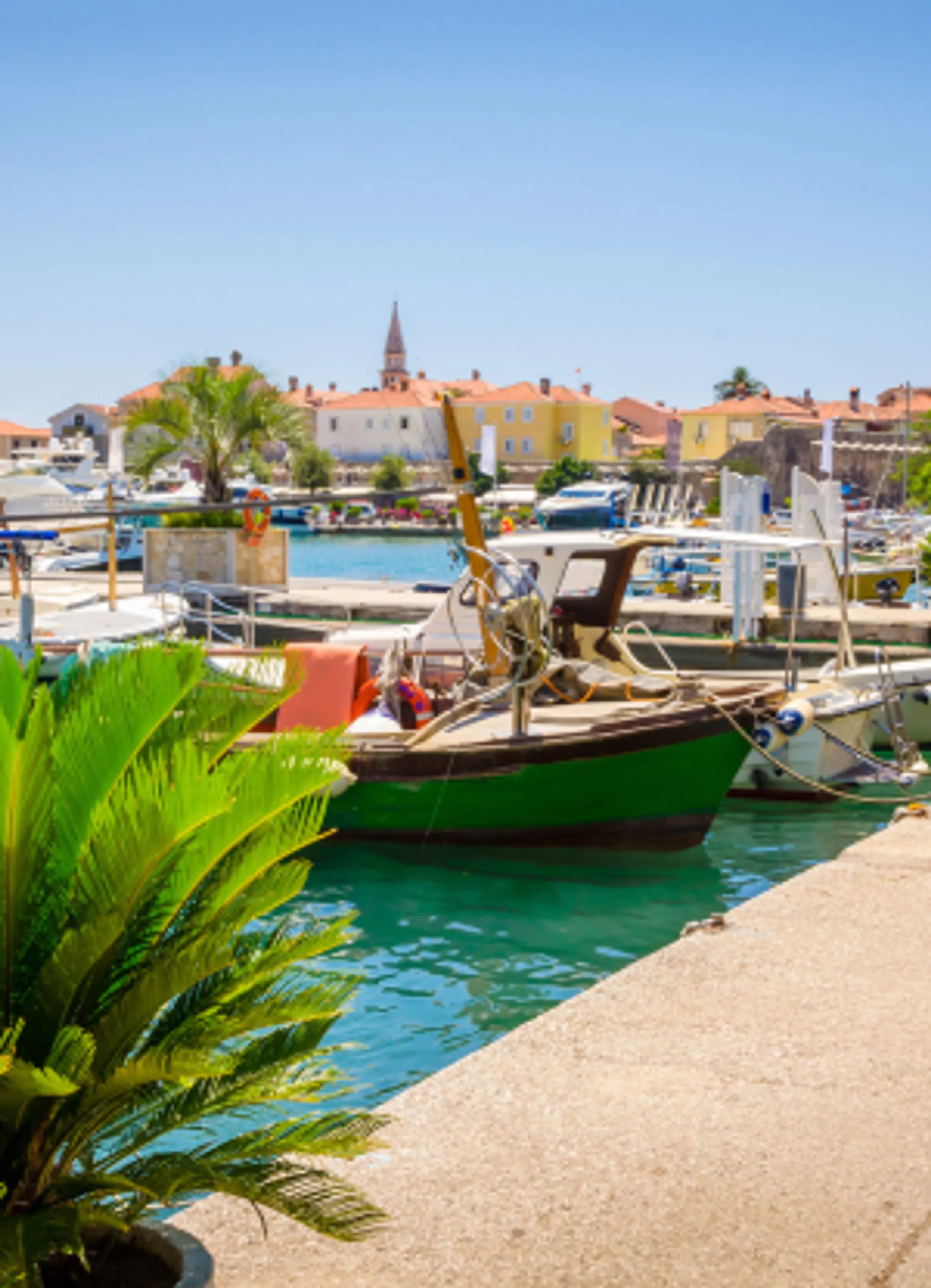 Blick über den Hafen von Budva